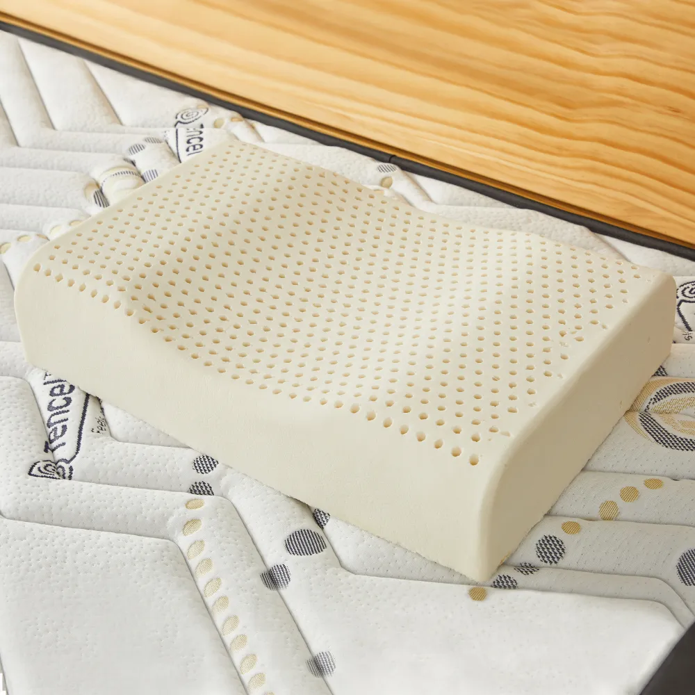【班尼斯】馬來最新天然乳膠枕頭款式任選-2入組-百萬馬來西亞製正品保證 附抗菌布套、手提收納袋(枕頭)