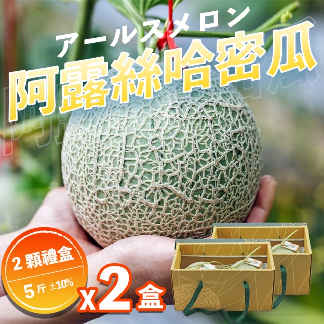 果樹寶石 中部日本阿露斯哈密瓜2顆x2盒（5斤/盒）(產銷履歷 極少種植巨甜品種 農場常溫配送)