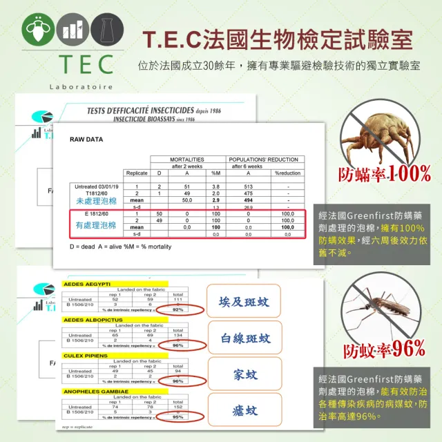 【LooCa】法國防蹣5cm全記憶床墊(加大6尺-送枕X2)