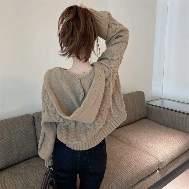 【D.studio】韓版寬鬆慵懶風小眾麻花連帽上衣(針織上衣 毛衣 長袖上衣 女裝 衣服 寬鬆上衣 長袖t恤 W379)