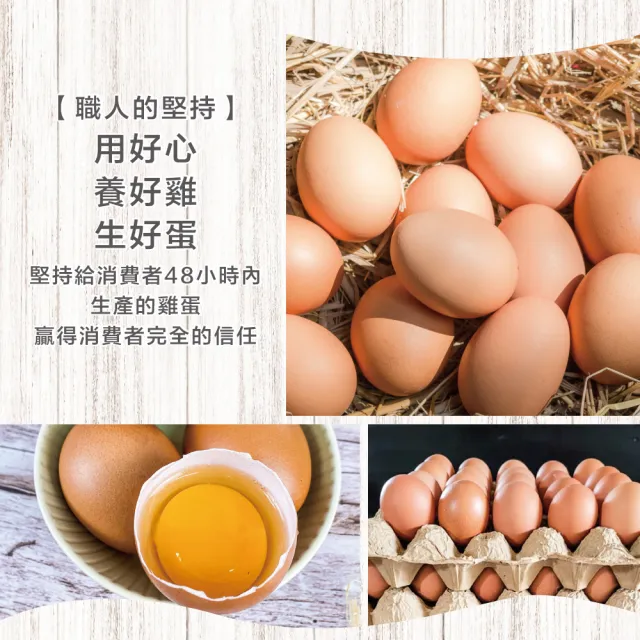 【初品果】x富立牧場靈芝機能雞蛋60顆x1箱(紅蛋_48小時內新鮮生產_無驗出普芬尼、戴奧辛)