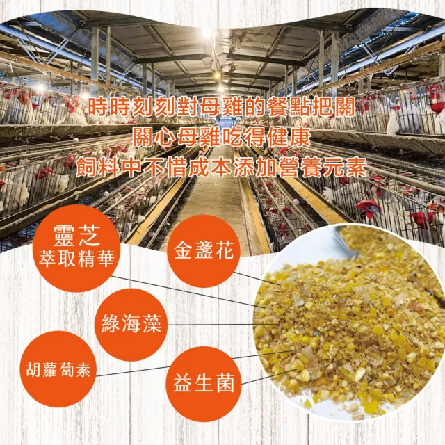 【初品果】x富立牧場靈芝機能雞蛋90顆x1組(彩色蛋_48小時內新鮮生產_無驗出普芬尼、戴奧辛)
