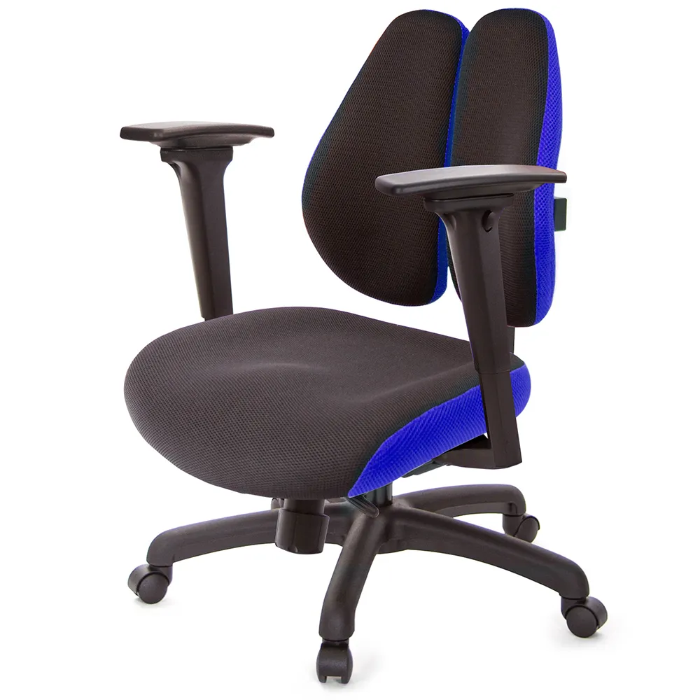 【GXG 吉加吉】記憶棉 DUO KING 3D升降扶手 工學椅(TW-3007 E9)