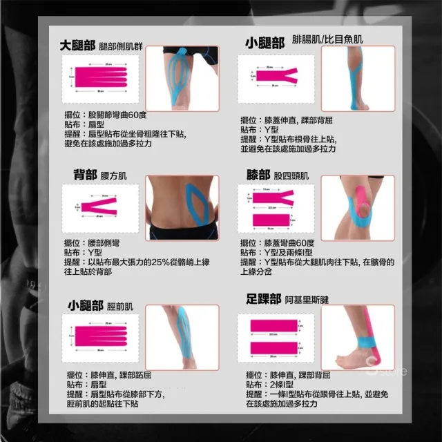 【S-SportPlus+】肌肉貼布 3.8cmx5m無盒裝6入組 肌貼繃帶(運動貼布/貼布/彈性貼布)
