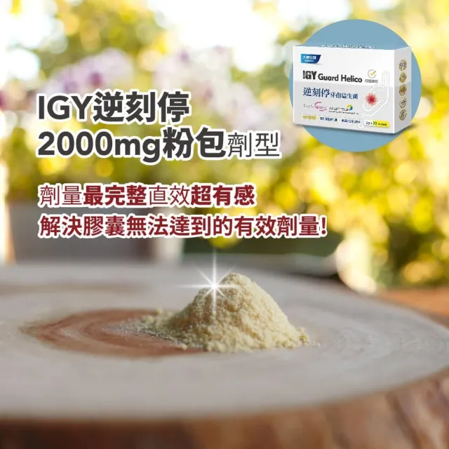 【大荷生研】逆刻停芽孢益生菌 1盒 20包(專利蛋黃粉IgY+綜合消化酵素+芽孢益生菌+牛蒡濃縮+高麗菜濃縮物)