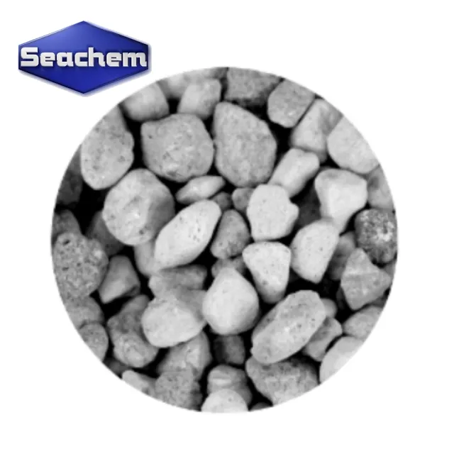 【Seachem 西肯】多孔隙生物石（粗） 500ml 超強培菌能力/石英石/石英球功能(水質處理/淡海水適用N6113)