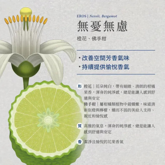 【伊聖詩】約翰森林JOHNRAY 室內擴香香竹250ml(多款任選/蔚藍海岸)