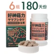【好神菇力】6瓶720顆(台灣專利猴頭菇萃取、幫助入睡胺酪酸GABA、猴頭菇菌絲體、洋甘菊萃取精華)
