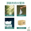 【淨新】抽取式衛生紙-100抽x30包x2箱(台灣製造 淨新衛生紙 面紙 擦手紙 原生木漿)