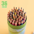 【樂適多】筒裝36色油性色鉛筆 MO7913(114)