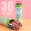 【樂適多】筒裝36色油性色鉛筆 MO7913(114)