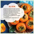 【初品果】達觀部落9A甜柿大禮盒12顆x2箱(每顆350g+-10%_年節禮盒_產地直送)