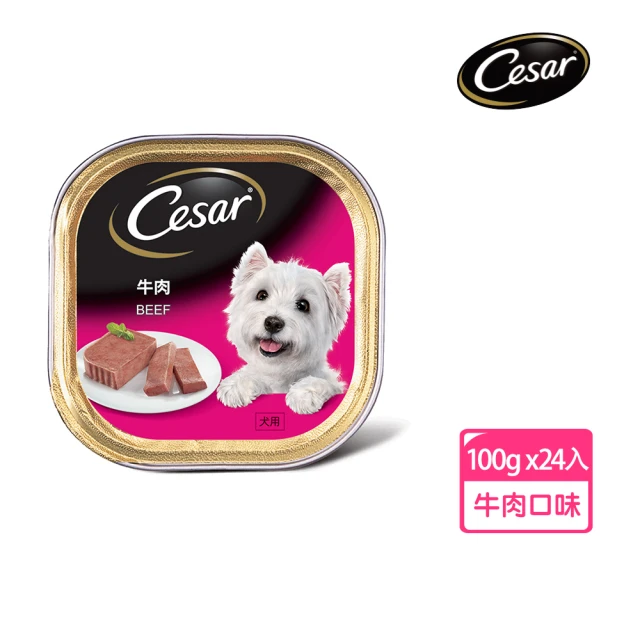 Cesar 西莎 經典風味餐盒 100g*24入 野菜燉雞折