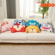 【韓國 Hello HiZoo】兒童枕小款(透氣枕 護脊枕 護頸枕 防蹣枕 枕頭)