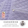 【1/3 A LIFE】防蹣抗菌人體工學型記憶枕-兩用雙頭枕(10cm/2入)