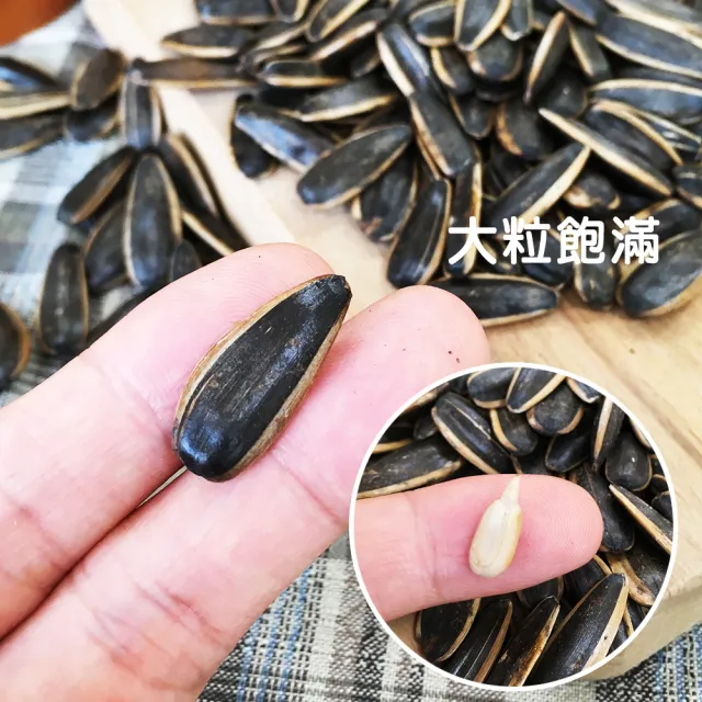 即期品【盛香珍】豐葵香瓜子禮桶X5桶入(焦糖風味/桂圓紅棗風味-2種可選)