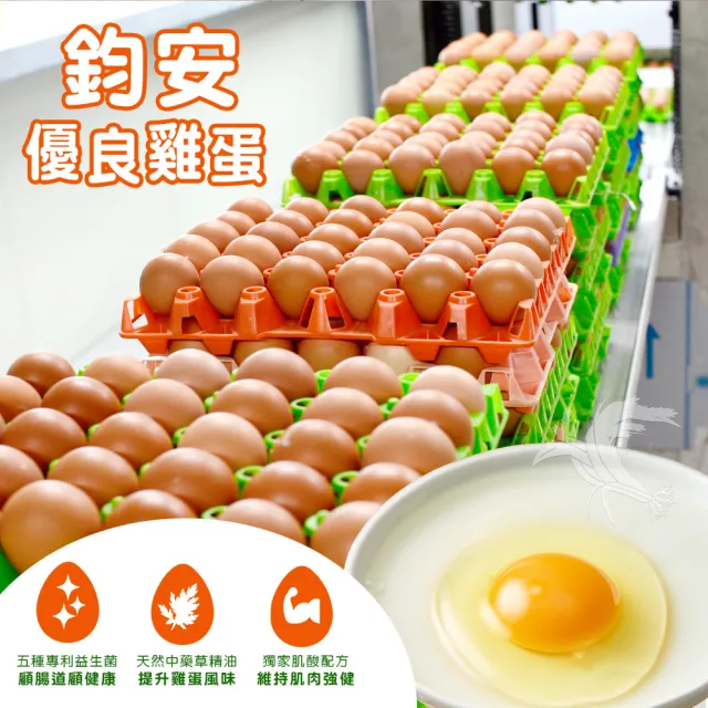 【禾鴻x鈞安牧場】專利配方鎂力機能蛋(土雞蛋8顆x3盒x1箱 共24顆)