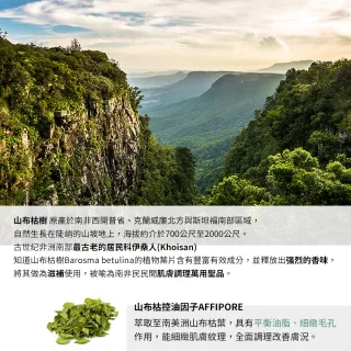 【BEVY C.】油脂平衡調理3件組(神仙水/控油凝乳/緊緻精華/油肌推薦保養)