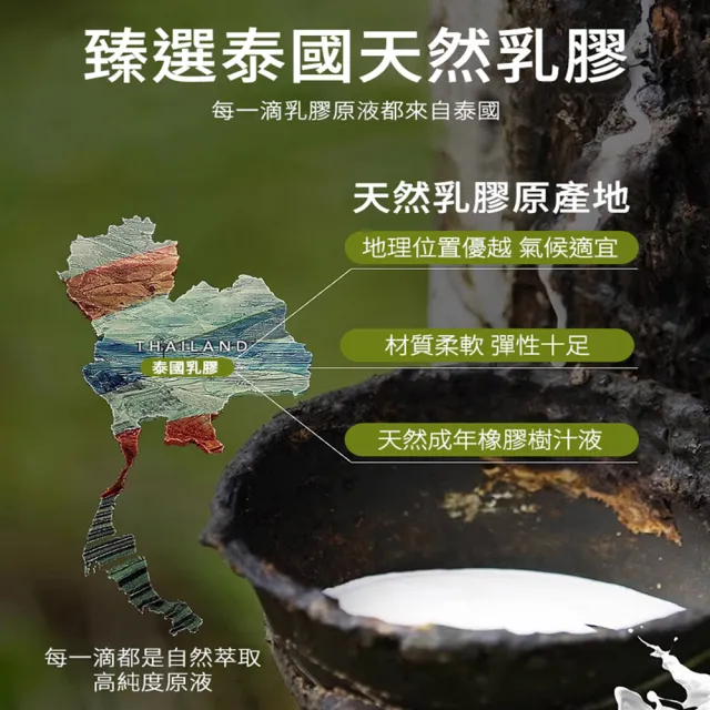 【Natural latex】泰國原裝進口金大象泰國乳膠枕1入(人體工學枕/乳膠枕/釋壓枕/枕頭)