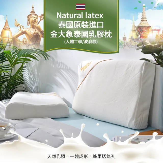 【Natural latex】泰國原裝進口金大象泰國乳膠枕1入(人體工學枕/乳膠枕/釋壓枕/枕頭)