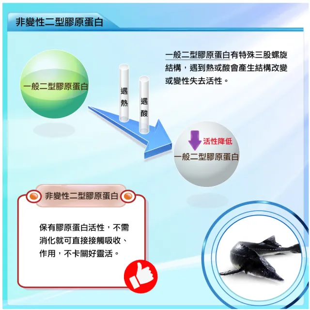 【辰鑫生技】鱘龍魚膠原2盒入共120顆(鱘龍魚膠原;專利二型膠原蛋白;玻尿酸)