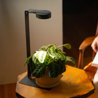 【ONF 光之間】MIST O 植霧光-桌上型隨吸植物燈套組(單燈雙架、霧面黑)