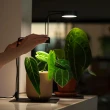 【ONF 光之間】MIST O 植霧光-桌上型隨吸植物燈套組(雙燈雙架、霧面黑)