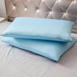 【日本旭川】AIRFIT氧活力3D透氣可調式水洗枕2入組-贈素色量感枕套(感謝伊正真心推薦 枕頭)