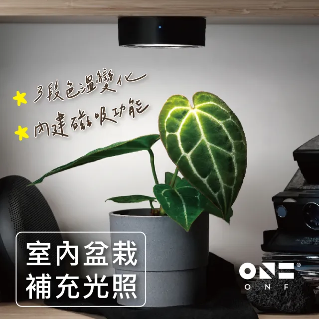 【ONF 光之間】MIST O 植霧光 隨吸植物燈(霧面黑)