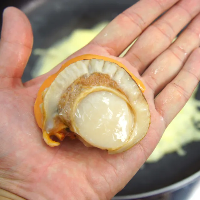 【優鮮配】特大2L北海道生食級特大-熟-含卵帆立貝2包(800G/包)