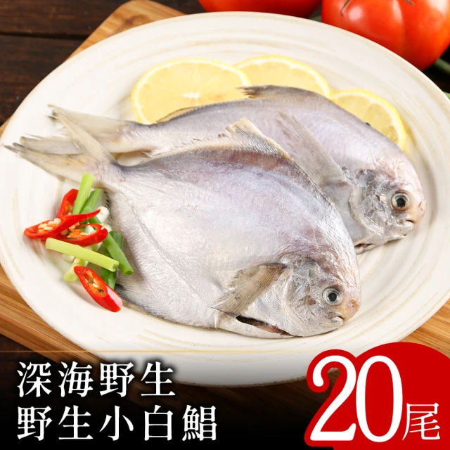 北村漁家 深海野生活凍小白鯧20尾(100-150g/尾) 