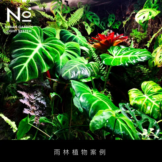 【微糖花植間】N10 Aditya 全光譜植物生長燈20W-黑白2色(全光譜植物燈/燈泡)