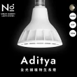 【微糖花植間】N10 Aditya 全光譜植物生長燈20W-黑白2色(全光譜植物燈/燈泡)