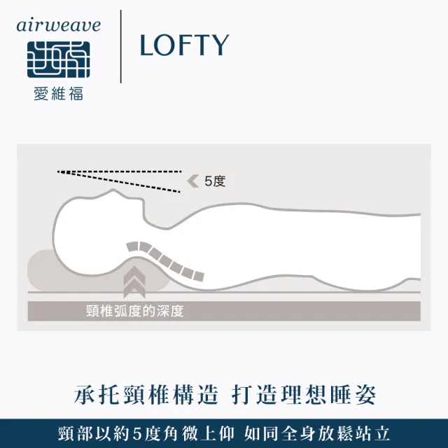【airweave 愛維福】LOFTY 枕工房 透氣竹炭枕(百年專業睡枕品牌 透氣可水洗 支撐力佳 分散體壓)