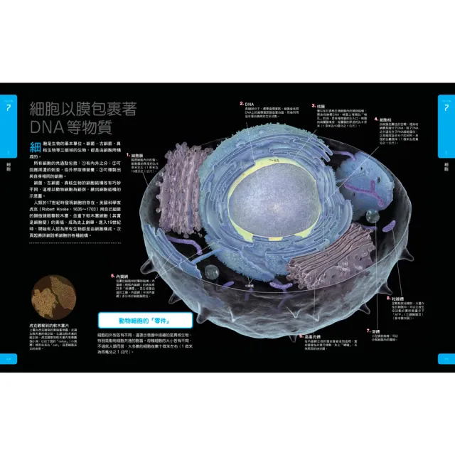 【momo組合套書-Galileo科學大圖鑑】生物＋細胞大圖鑑