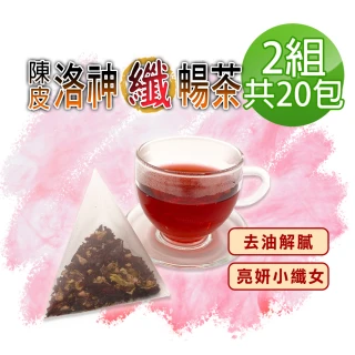 【蔘大王】陳皮洛神纖暢茶包X2組（6gX10入/組）(打擊油膩 幫助消化 使排便順暢 小資養生茶包)