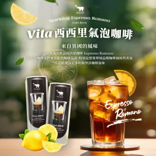 【Vita Cafe】西西里風味檸檬氣泡咖啡330ml/罐 12入(氣泡水碳酸咖啡 飲料 冷萃氣泡檸檬咖啡)