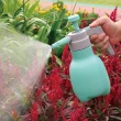 【Gardeners】家用氣壓式噴壺1L(植物、澆花、園藝、消毒、酒精、噴霧)