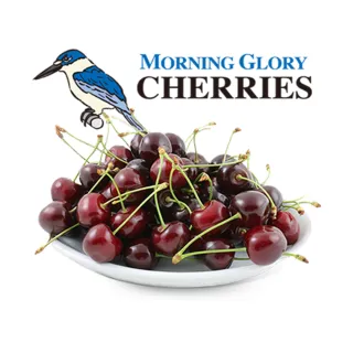 【甜露露】紐西蘭牽牛花櫻桃28mm 1kg x1盒(1kg±10%分裝)