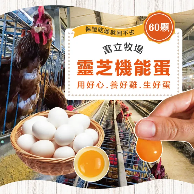 【初品果】x富立牧場靈芝機能雞蛋60顆x1箱(彩色蛋_48小時內新鮮生產_無驗出普芬尼、戴奧辛)