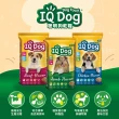 【IQ DOG】聰明狗乾糧-多種口味 13.5-15KG(任選兩包)(狗飼料)