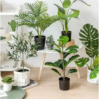 【Meric Garden】北歐風格居家裝飾高仿真大型景觀植栽擺設盆栽(琴葉榕S)