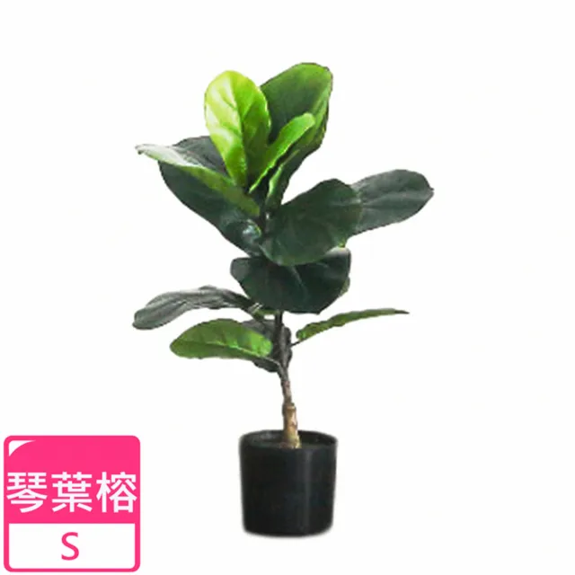 【Meric Garden】北歐風格居家裝飾高仿真大型景觀植栽擺設盆栽(琴葉榕S)