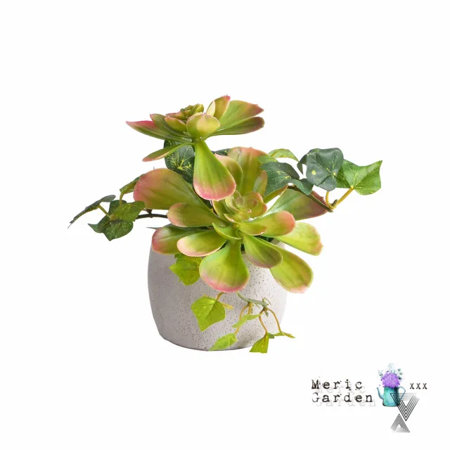 【Meric Garden】高仿真多肉植物療癒手工水泥小盆栽_2款一組(白佛甲+石蓮)