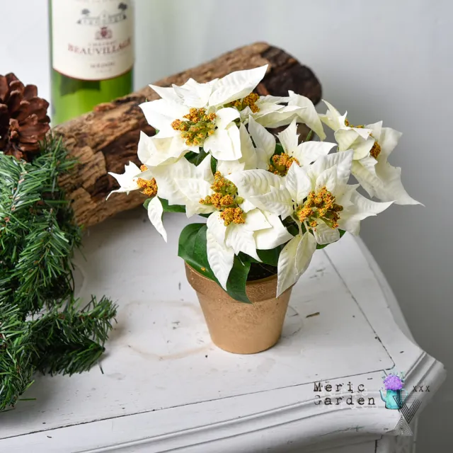 【Meric Garden】高仿真台灣手工限定雪白聖誕紅小盆栽(2入一組)