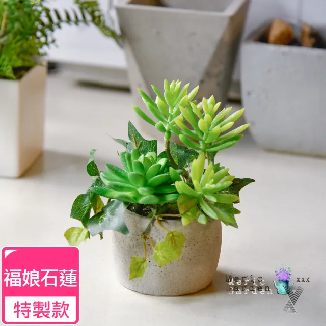 【Meric Garden】高仿真多肉植物療癒手工水泥小盆栽_福娘石蓮特製款