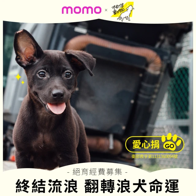 相信動物協會 定期愛心捐-終結流浪 翻轉浪犬命運