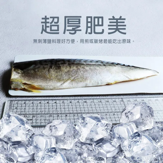 【優鮮配】厚片超大油質豐厚挪威薄鹽鯖魚10片(210g/片)