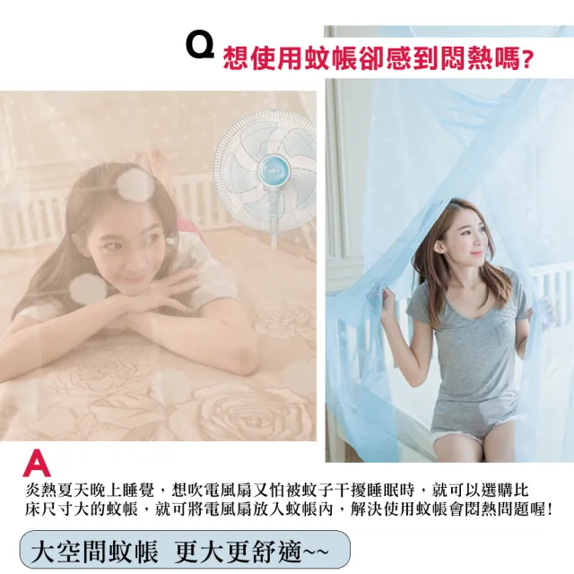 【凱蕾絲帝】單人加大3.5尺針織蚊帳100%台灣製造-堅固耐用(開單門-三色可選)