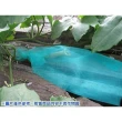【蔬菜之家】絲瓜網 60cm加長型(苦瓜網 水果網 水果套袋)